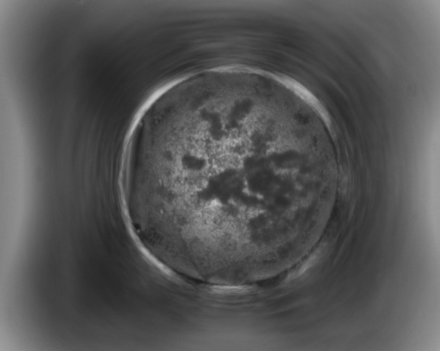 X0000085070863200703121640