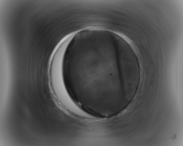 X0000085070864200703121640