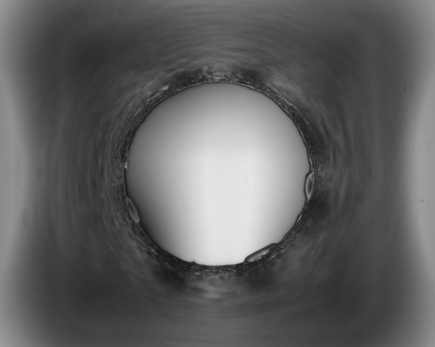 X0000085070865200703121640