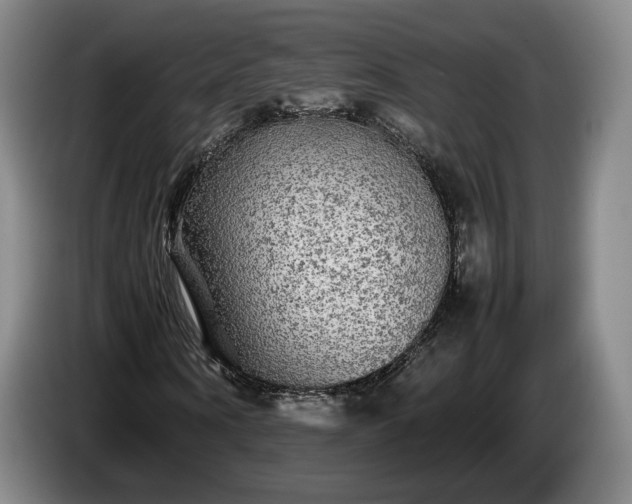 X0000085070866200703121639