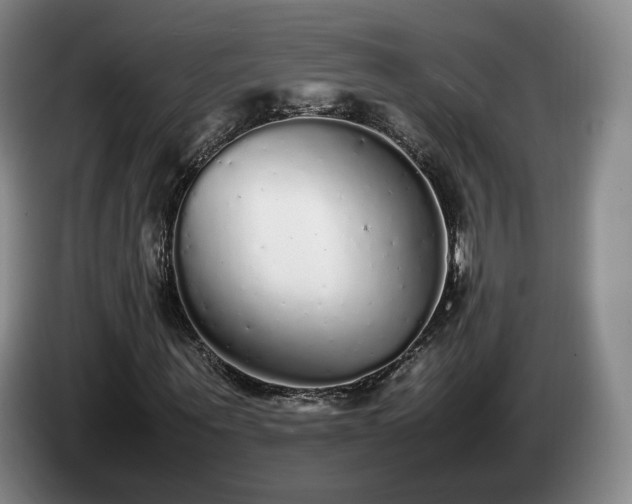 X0000085070867200703121639