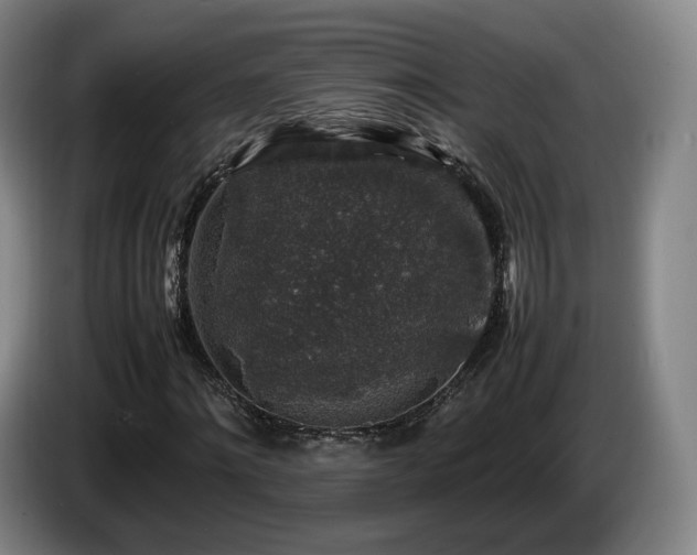 X0000085070868200703121639