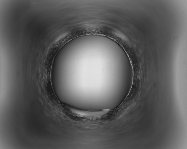 X0000085070869200703121639