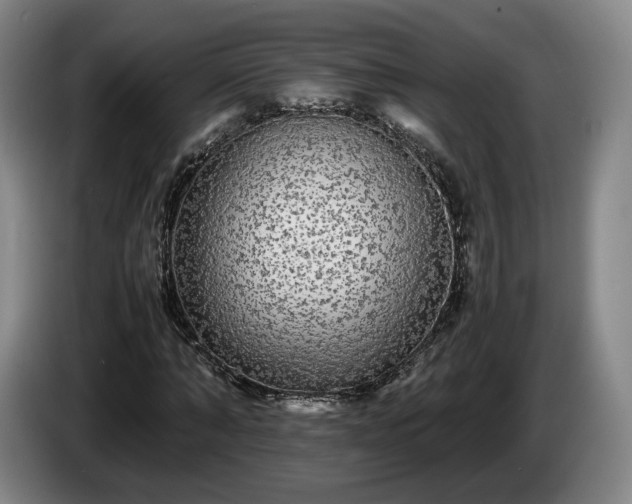 X0000085070870200703121639