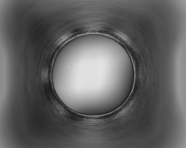 X0000085070873200703121639