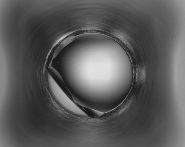 X0000085070876200703121639