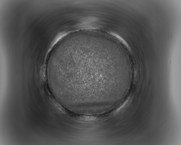 X0000085070878200703121639