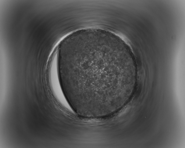 X0000085070879200703121639