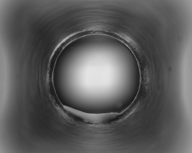 X0000085070880200703121639