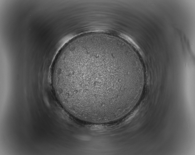 X0000085070883200703121639