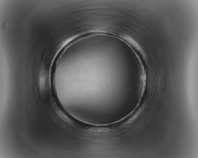 X0000085070884200703121639