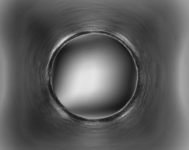 X0000085070885200703121639