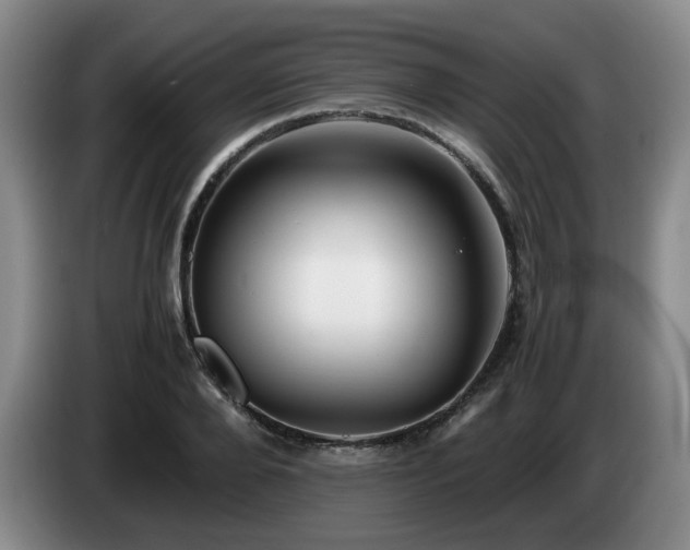 X0000085070888200703121639