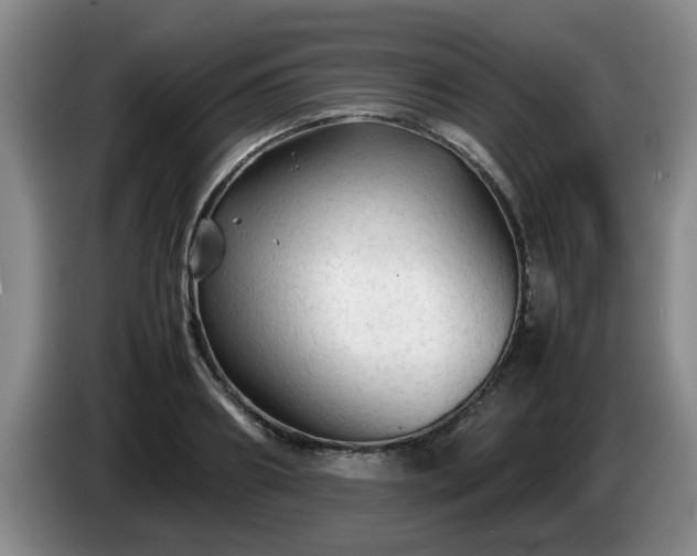 X0000085070890200703121639