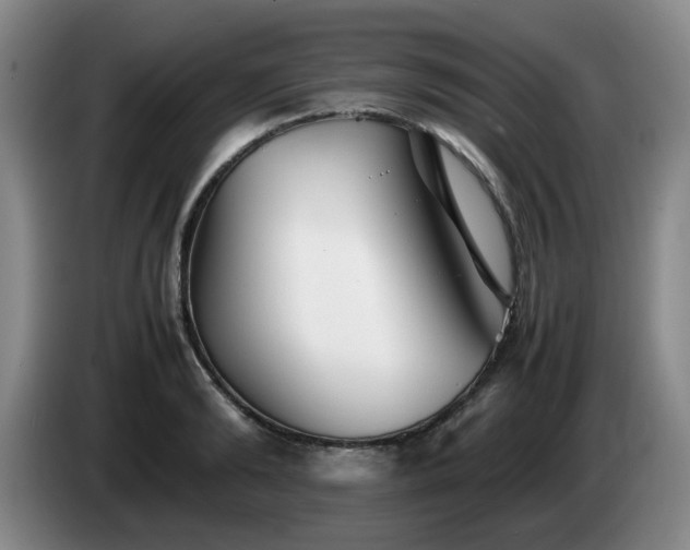 X0000085070894200703121639