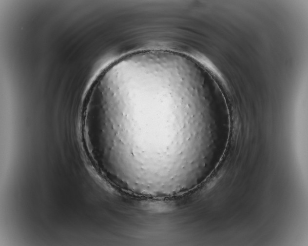 X0000085070896200703121639