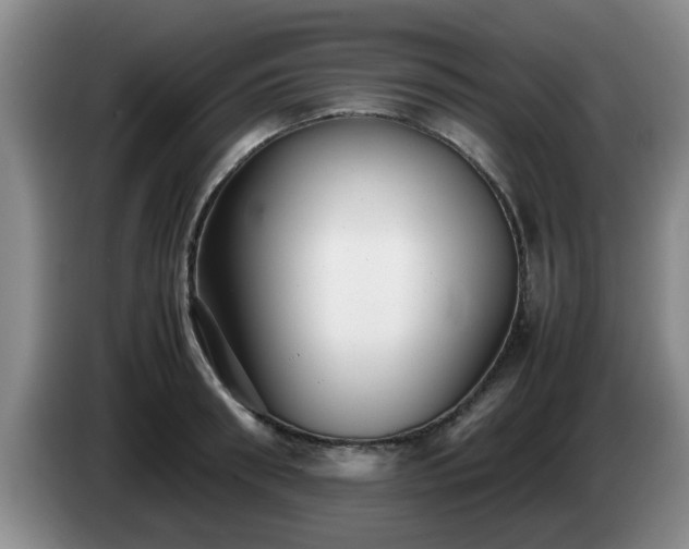 X0000085070898200703121639