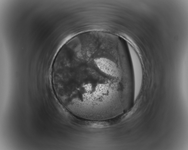 X0000085070899200703121639