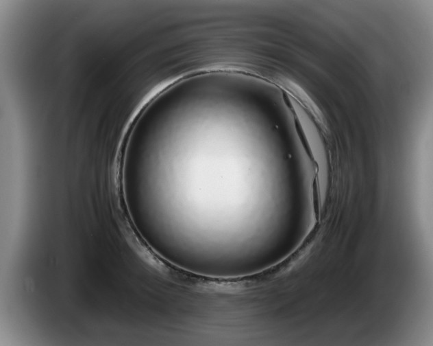 X0000085070900200703121639