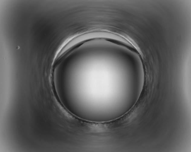 X0000085070901200703121639