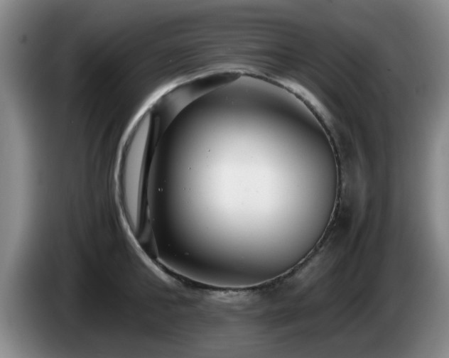 X0000085070902200703121639