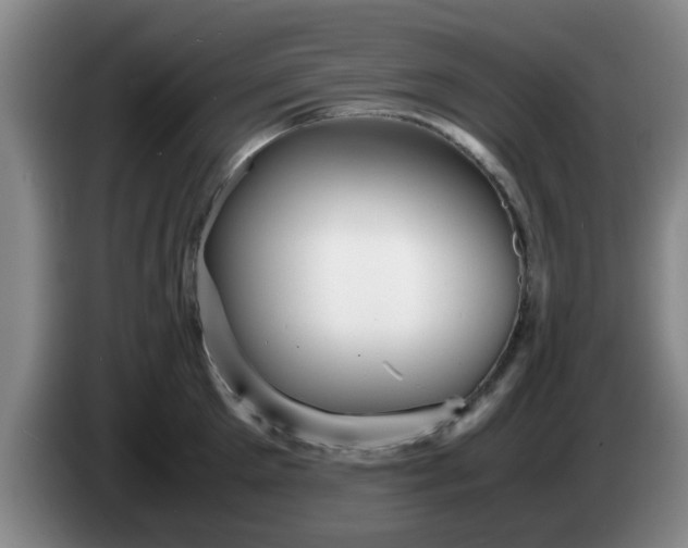 X0000085070905200703121639