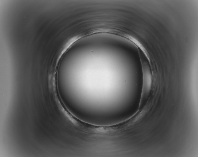 X0000085070906200703121639