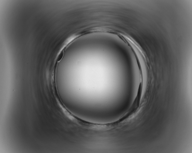 X0000085070909200703121639