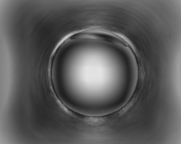 X0000085070910200703121639