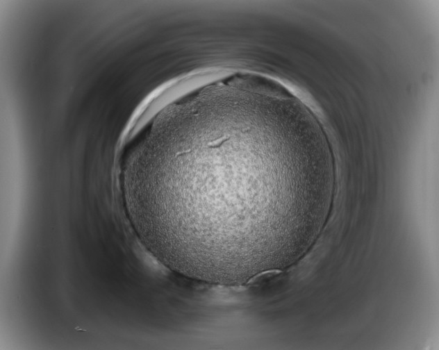 X0000085070912200703121639