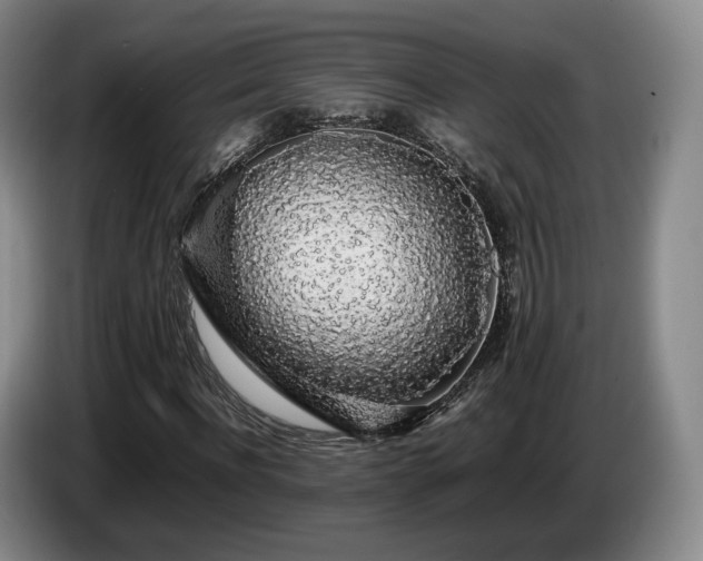 X0000085070916200703121638