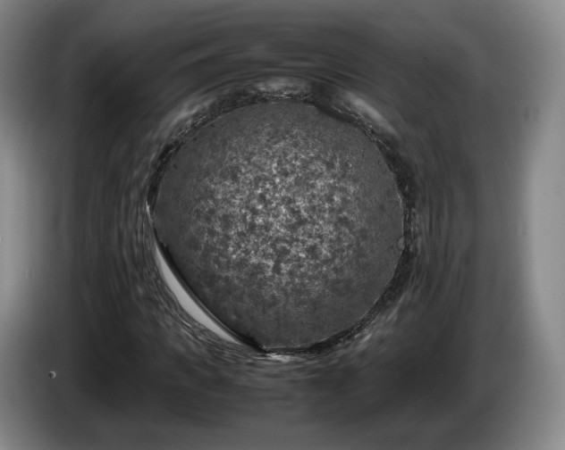 X0000085070917200703121638