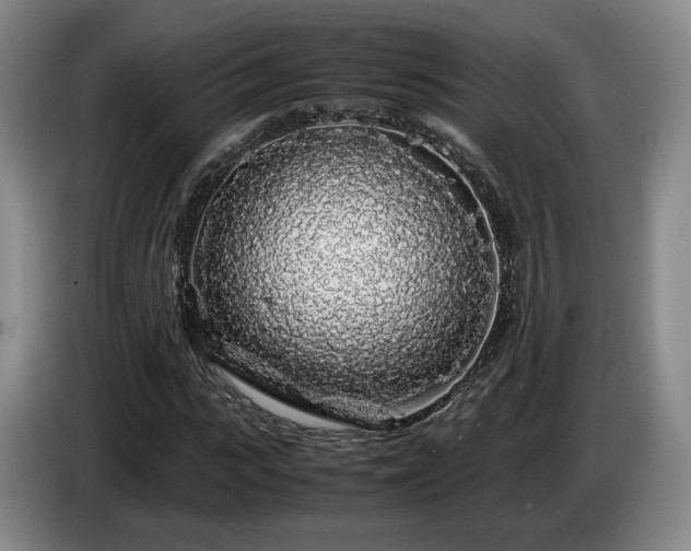 X0000085070919200703121638