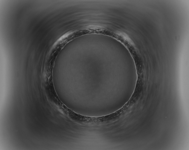 X0000085070920200703121638