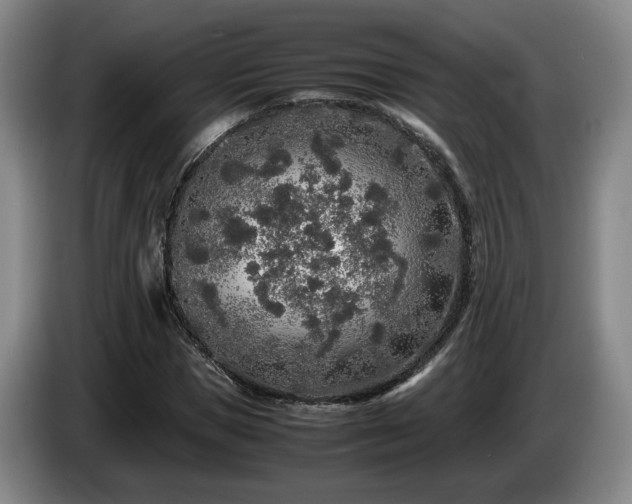 X0000085070921200703121638