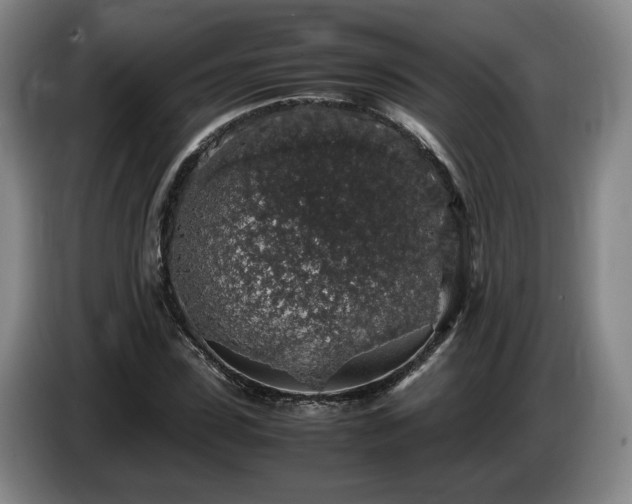 X0000085070923200703121638