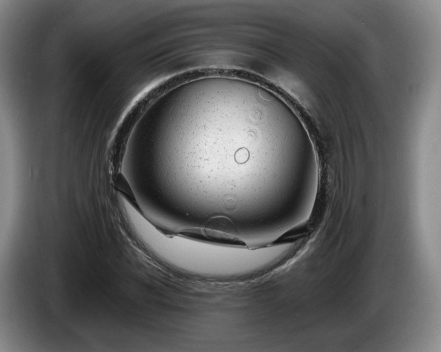 X0000085070926200703121638