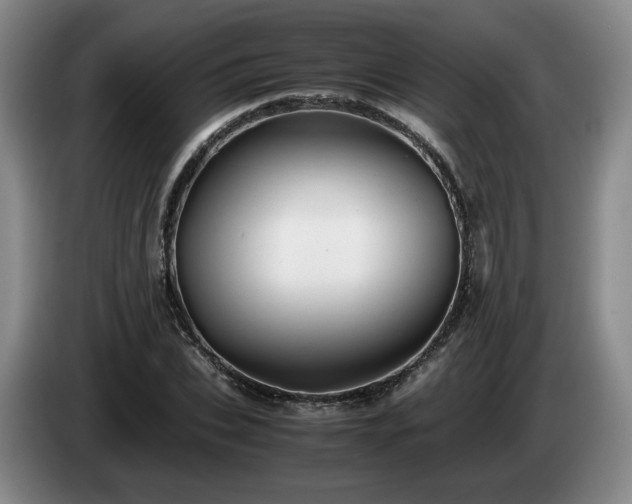 X0000085070927200703121638