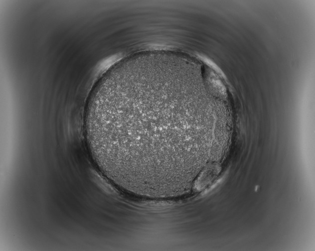 X0000085070930200703121638