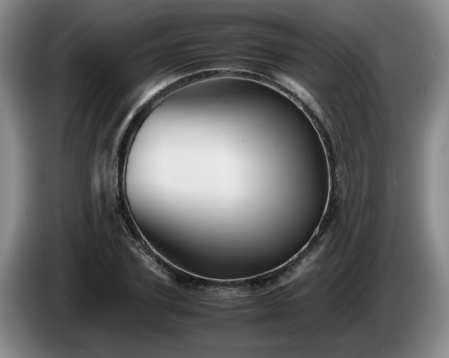 X0000085070931200703121638