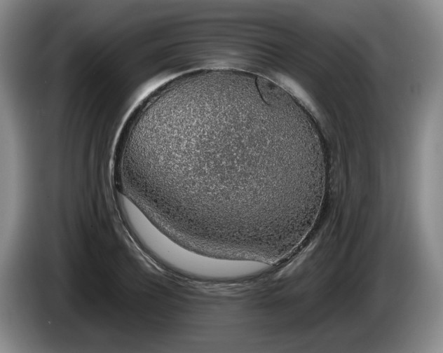 X0000085070932200703121638