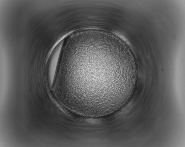 X0000085070933200703121639