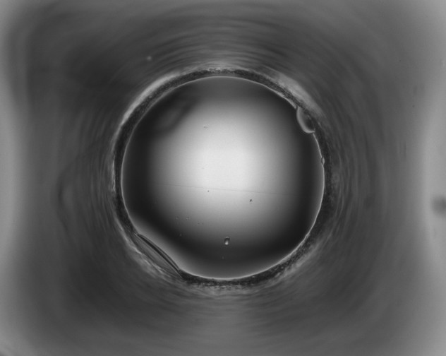 X0000085070934200703121639