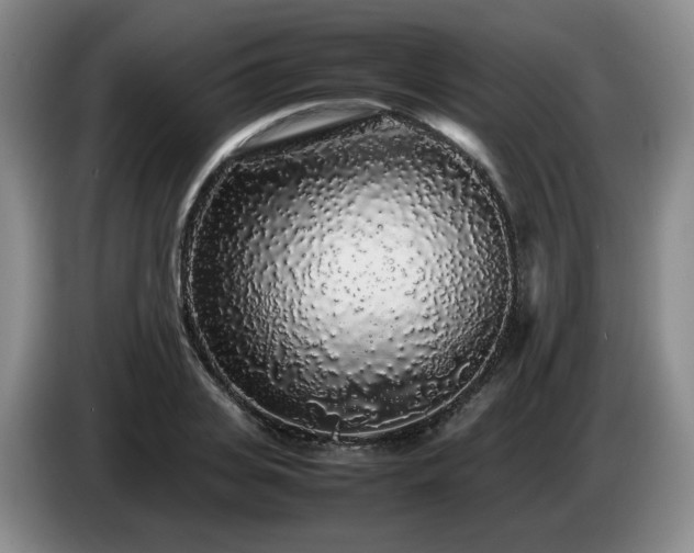 X0000085070935200703121639