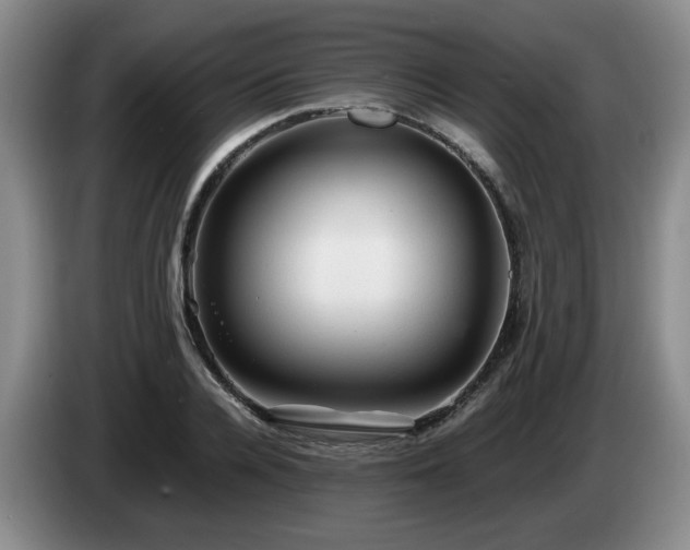 X0000085070936200703121639