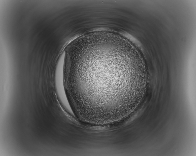 X0000085070937200703121639