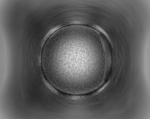 X0000085070938200703121639