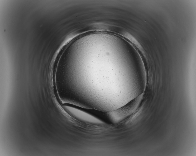 X0000085070939200703121639