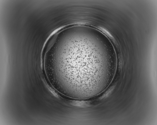 X0000085070940200703121639