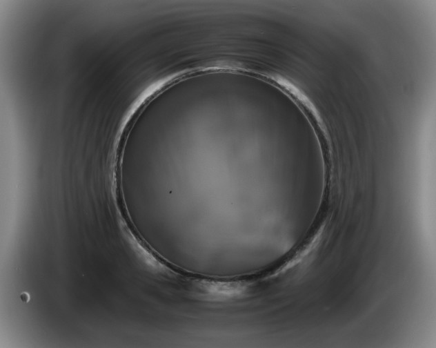 X0000085070941200703121639